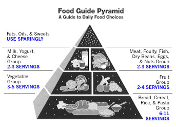 Foodguidepyramid.jpg